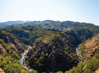 164012579_159625126008715_3801238227390152294_n