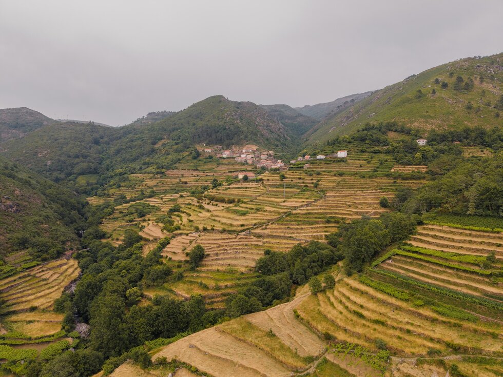 SISTELO_FOLLOW THE SUN_ARCOS DE VALDEVEZ